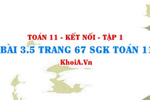 Bài 3.5 trang 67 SGK Toán 11 tập 1 Kết nối tri thức